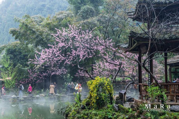 尽在没有银行卡可以取钱吗?知识星球,专注知识分享平台
