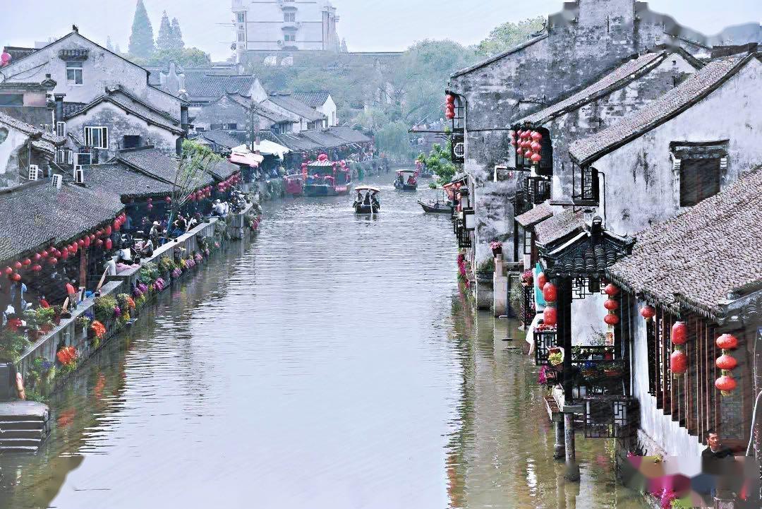 道奇蝰蛇找不同